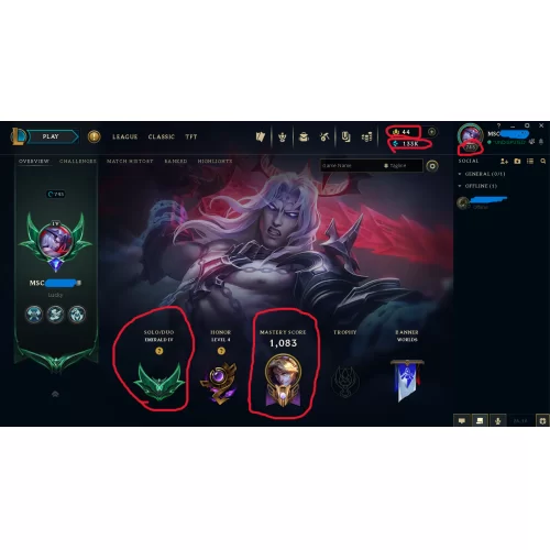 TR ZÜMRÜT ELO İÇİ FULL DOLU LOL HESABI !